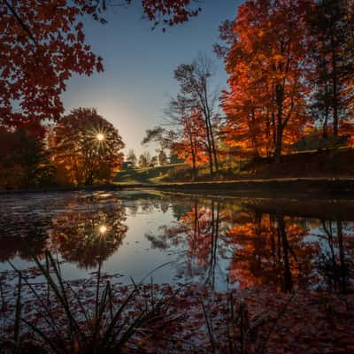 Glen Haffy conservation,, Canada