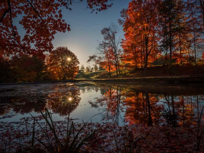 Glen Haffy conservation,