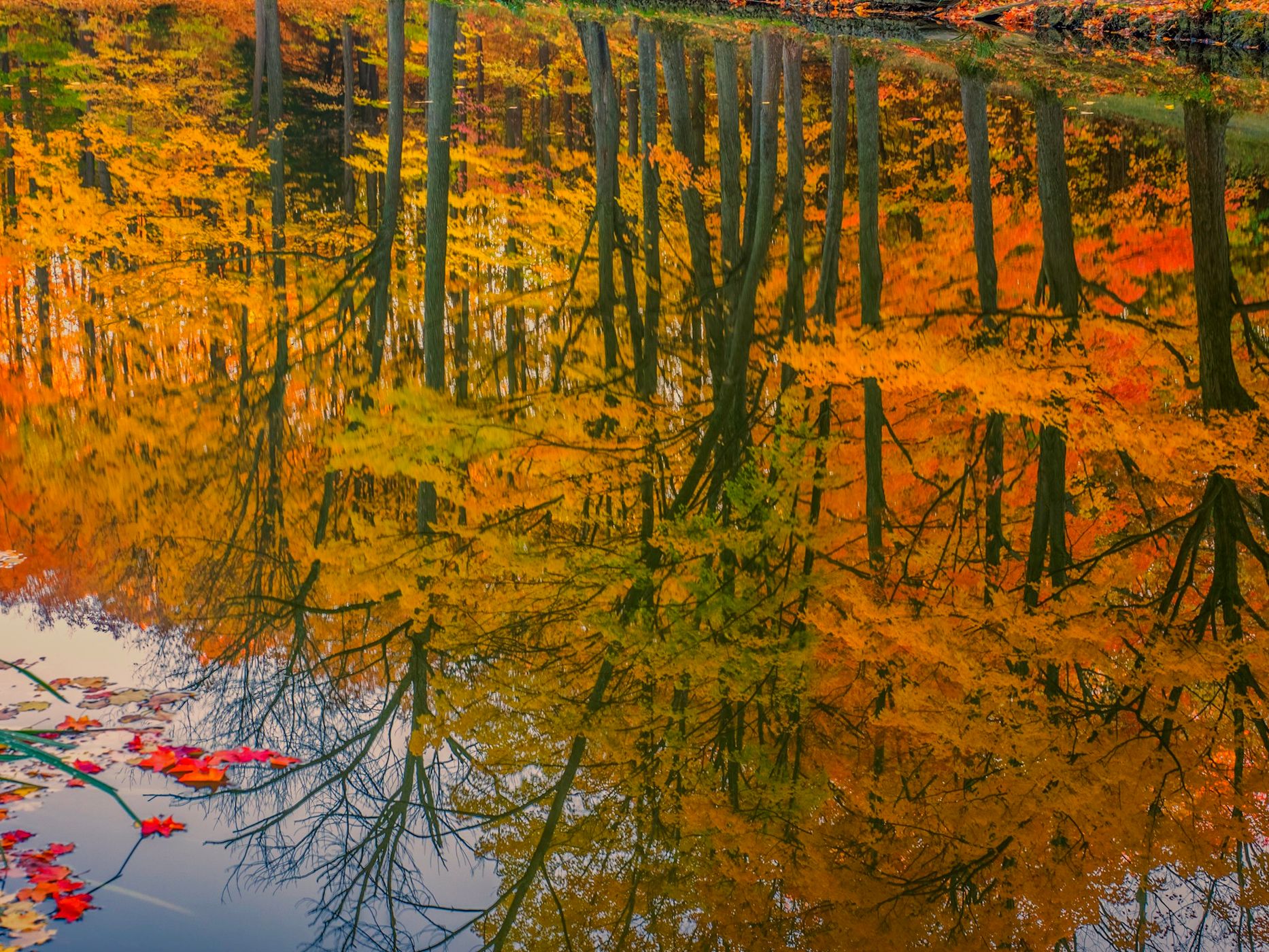 Glen Haffy conservation,, Canada