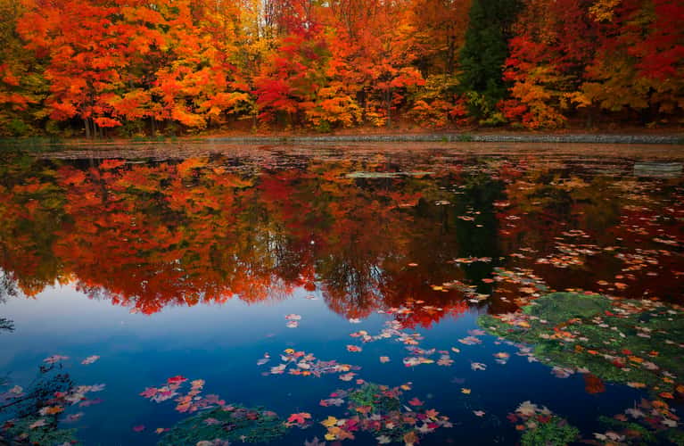 Glen Haffy conservation,