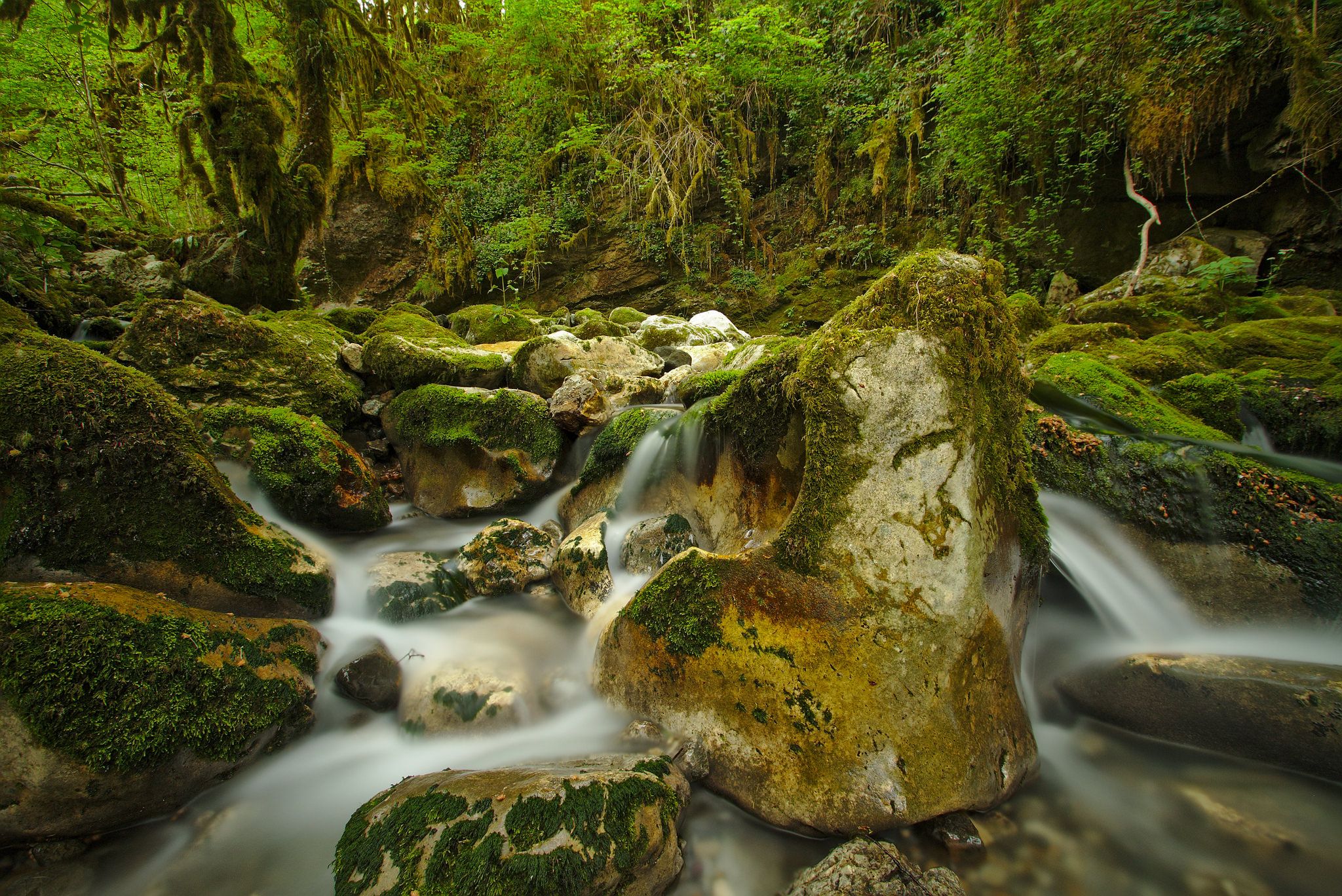 Gourgue d'Asque, french Pyrenees, France