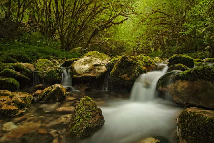 Gourgue d'Asque, french Pyrenees