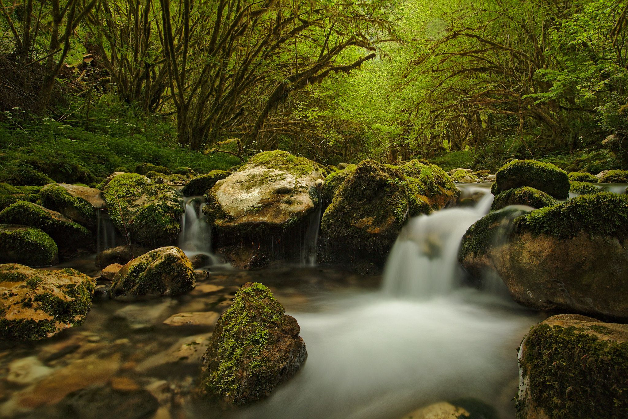 Gourgue d'Asque, french Pyrenees, France