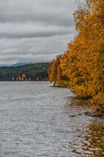 Jerisjärvi Old fishing cabins