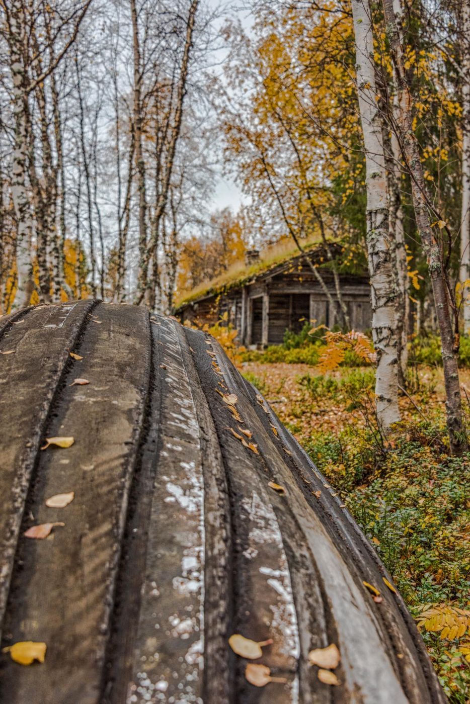 Jerisjärvi Old fishing cabins, Finland
