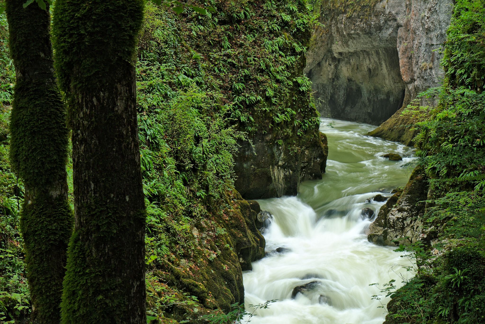Langouette gorges, french Jura, France