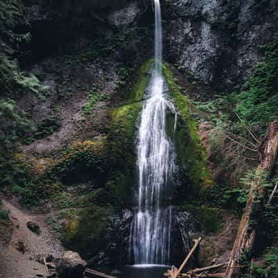 Marymere Falls from Lower View, USA