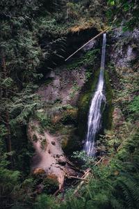 Marymere Falls from Upper View