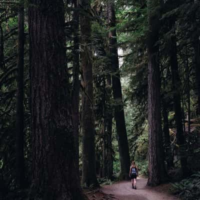 Marymere Falls Trail, USA