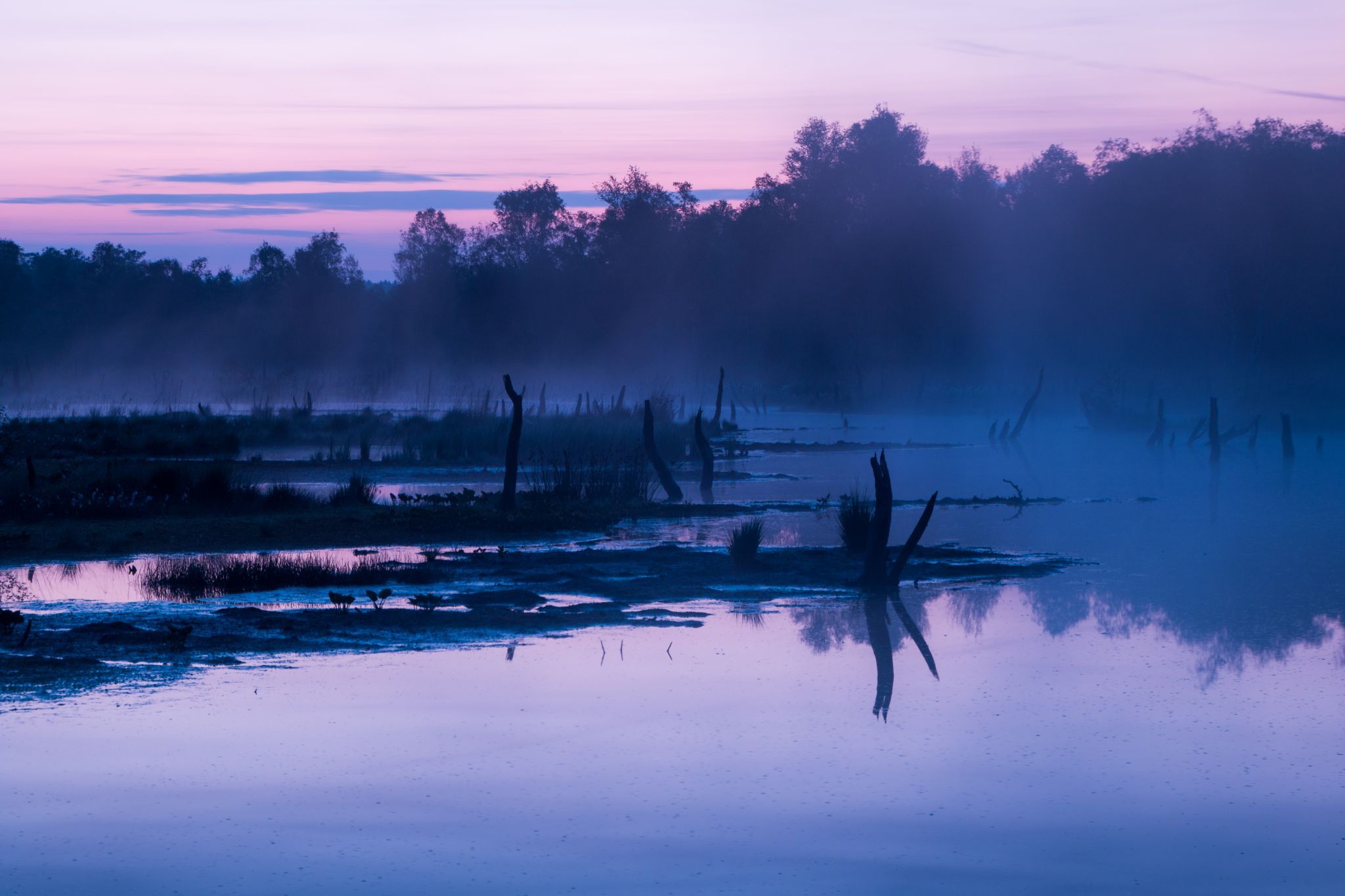 Naturschutzgebiet Wittmoor, Hamburg, Germany