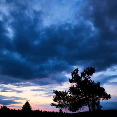 Niedersfelder Hochheide, Germany