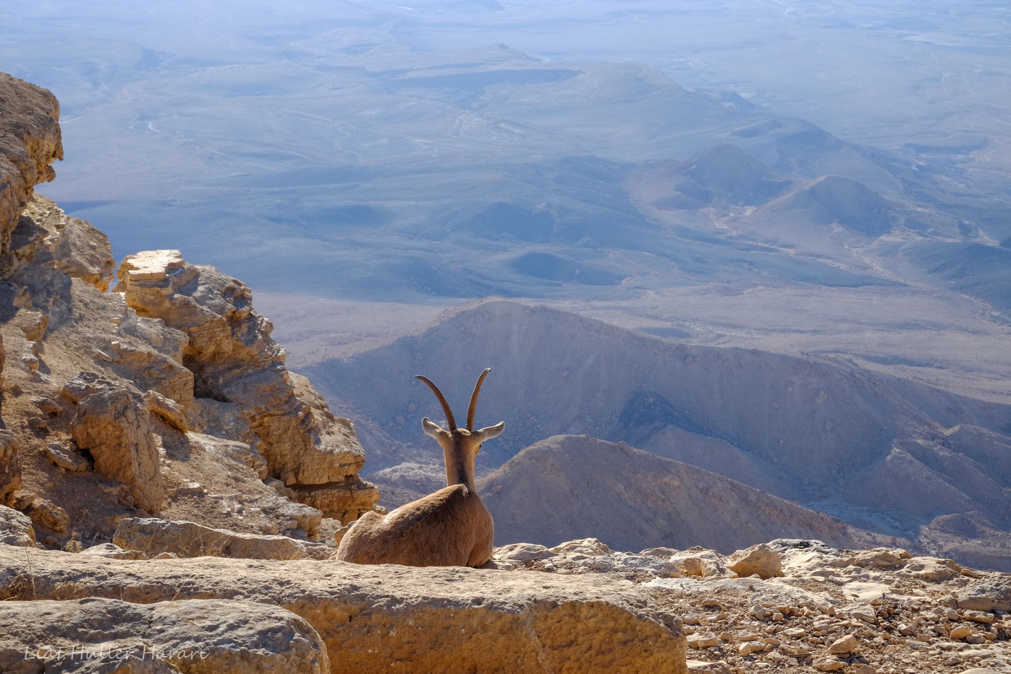 Ramon Crater, Israel, Israel