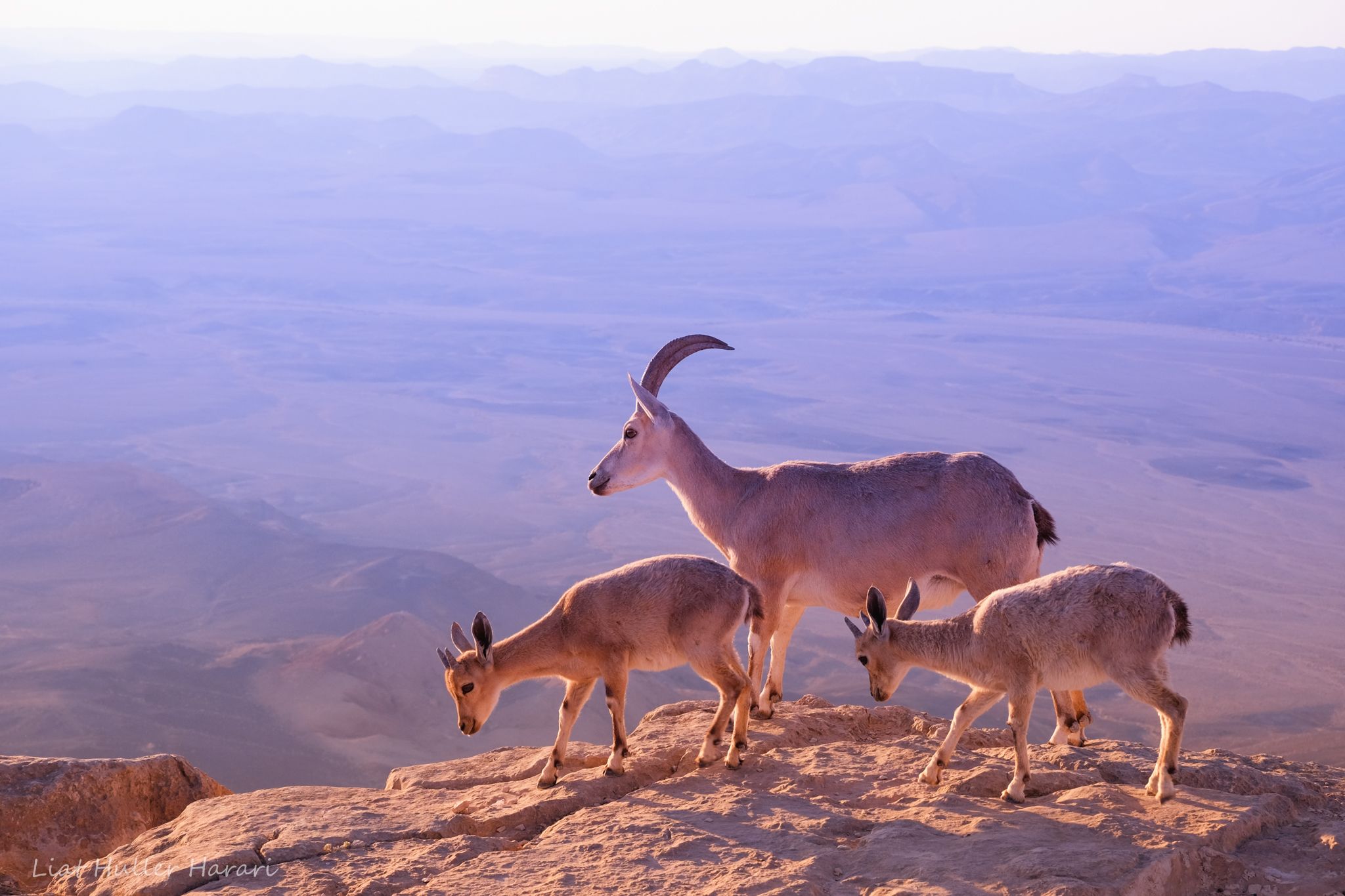 Ramon Crater, Israel, Israel