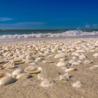 Sanibel Island, USA