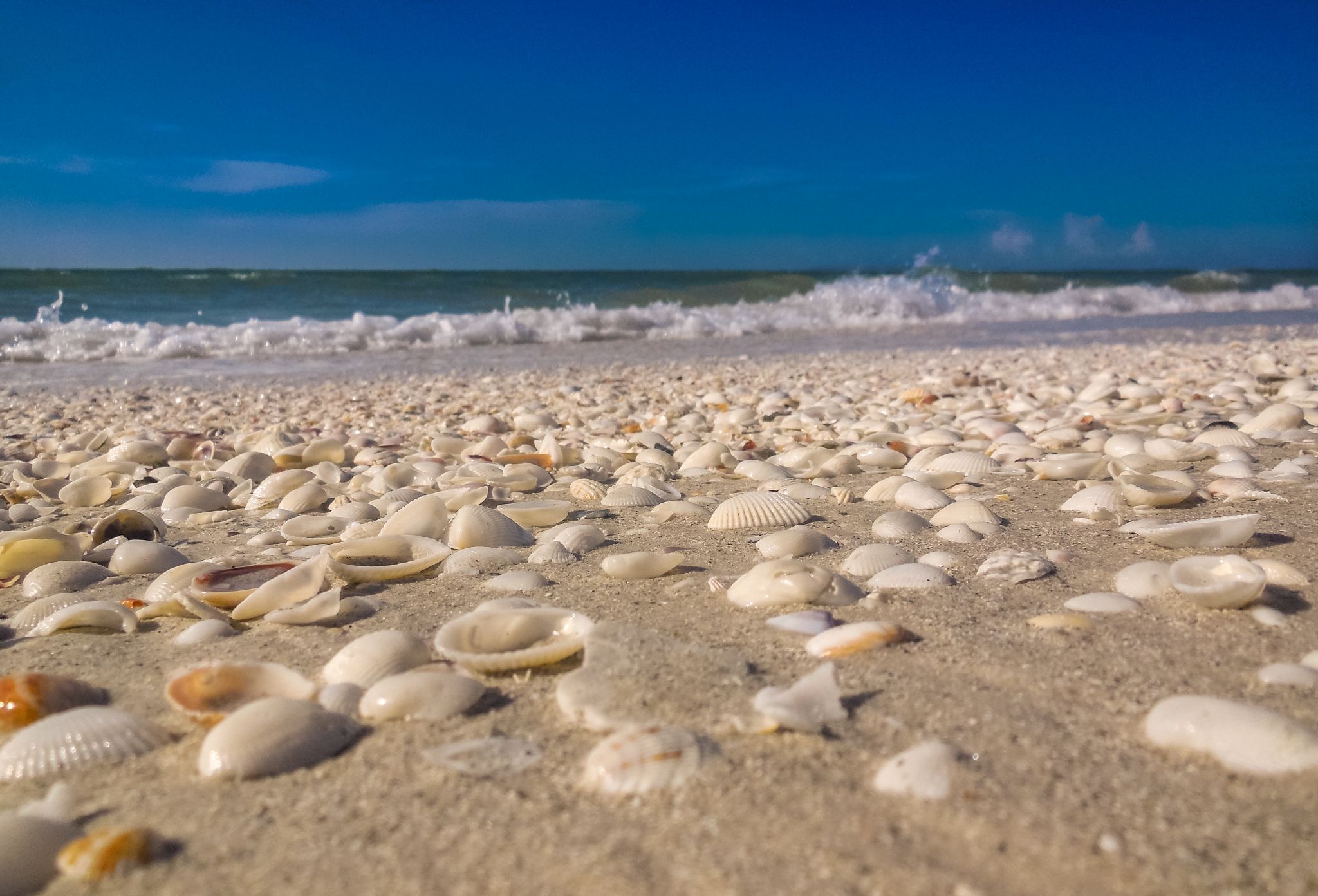 Sanibel Island, USA