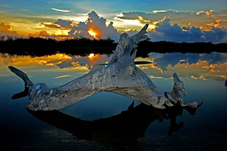 Sunrise at the Yallahs Ponds, Jamaica