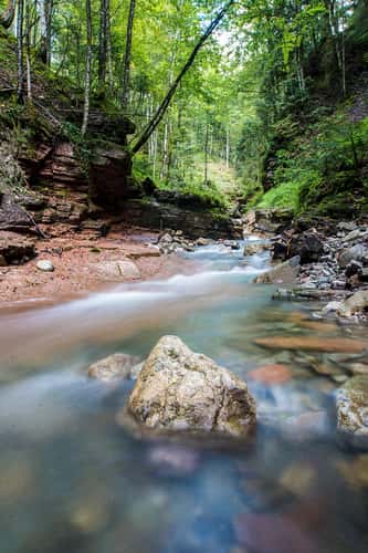 Tauglbach / Davidgraben