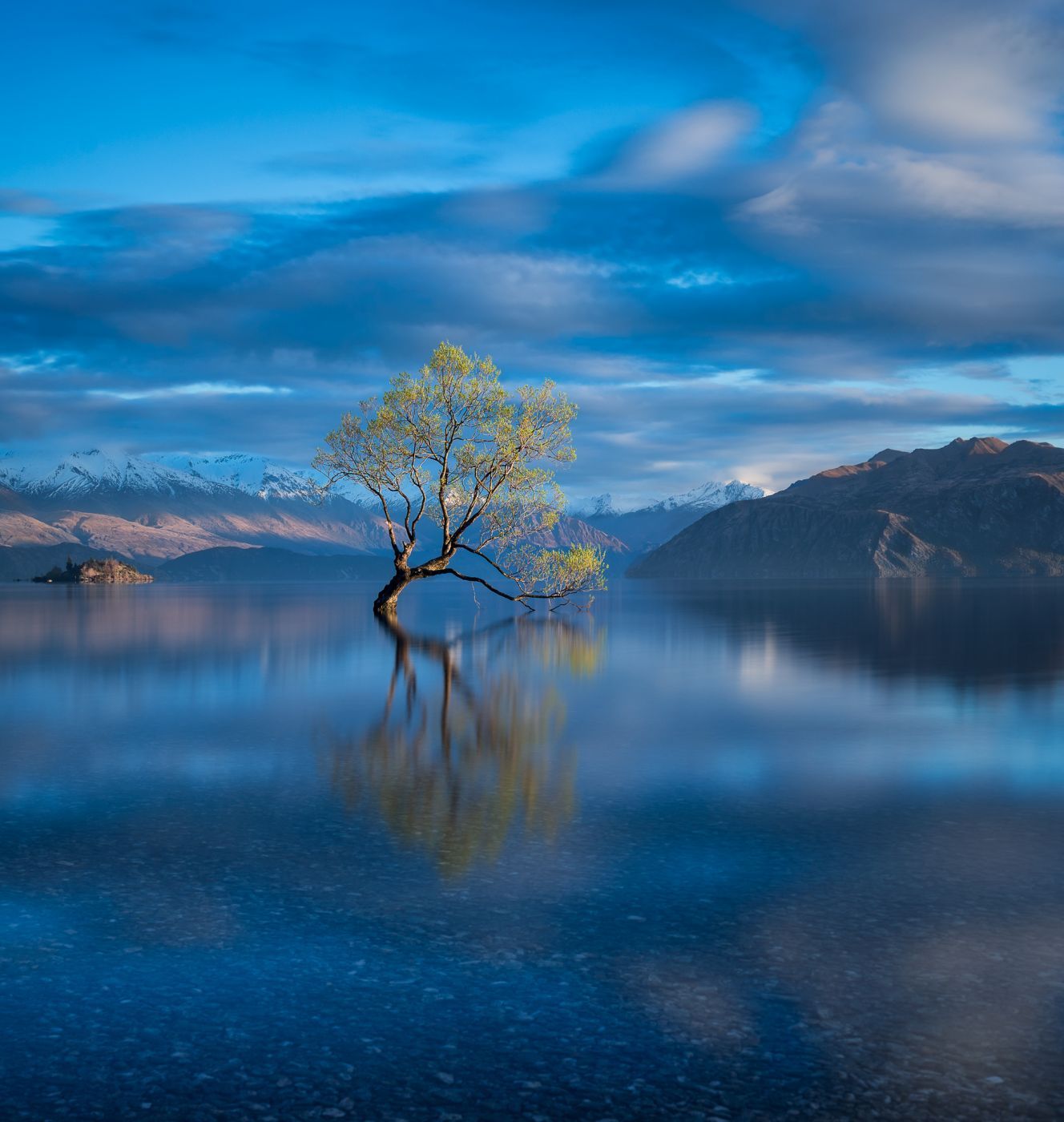 Lake Wanaka - The lonely Tree, New Zealand