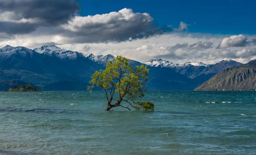 Lake Wanaka - The lonely Tree