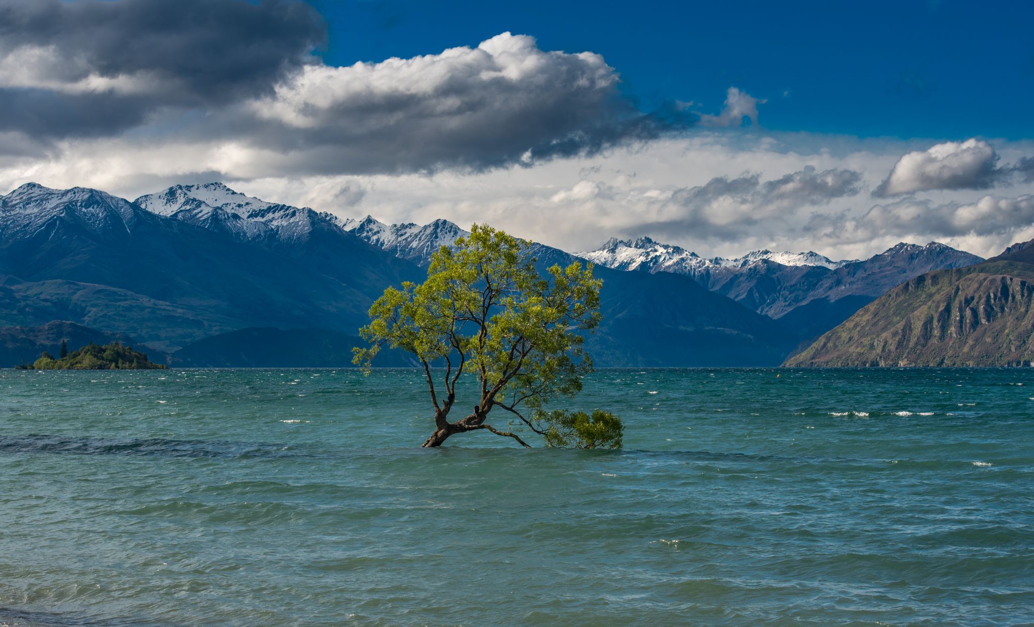 Lake Wanaka - The lonely Tree, New Zealand