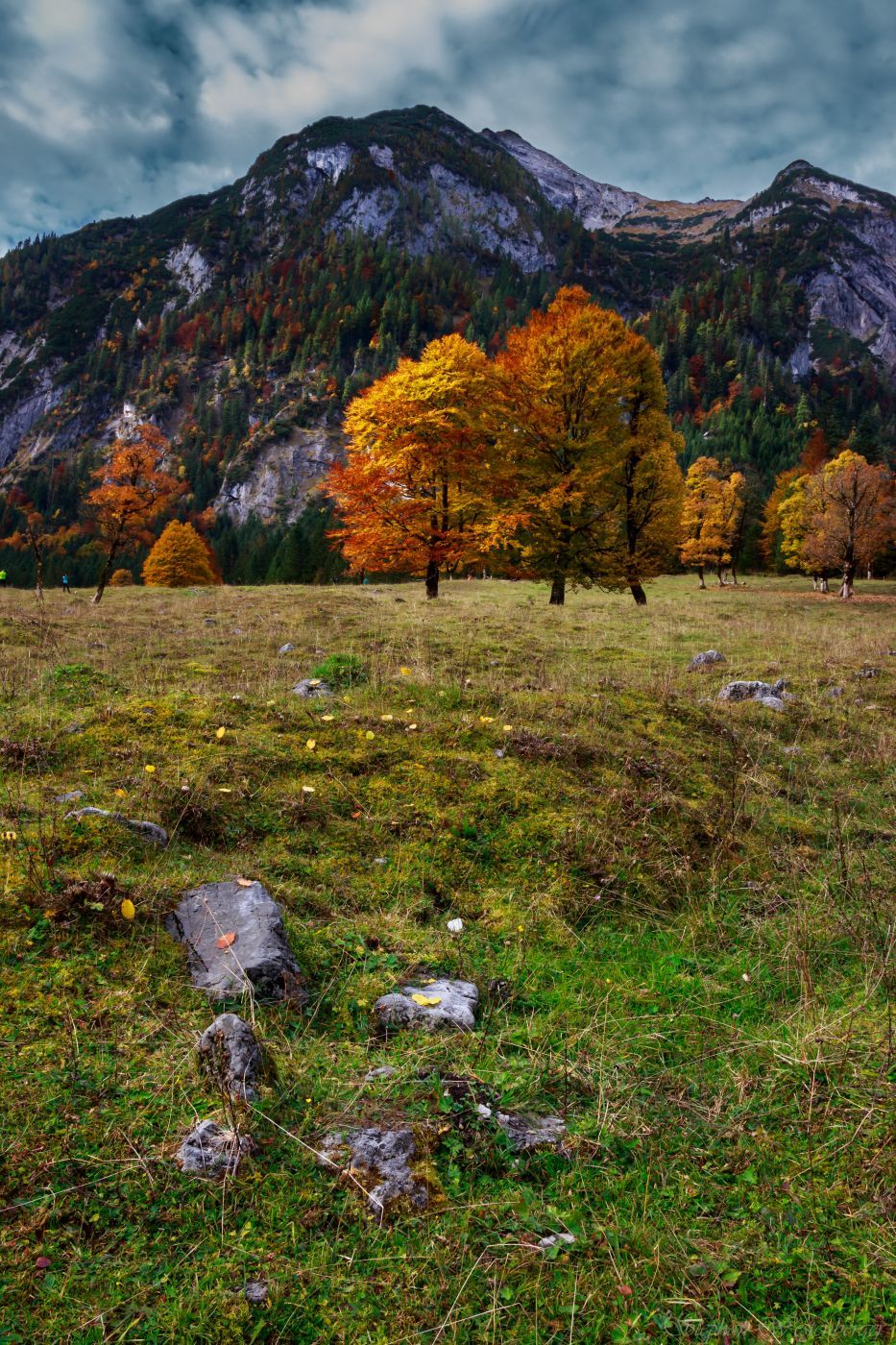 Ahornboden Nature Reserve, Austria