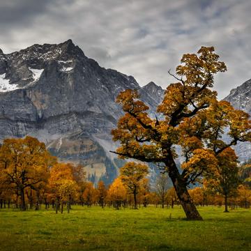 Ahornboden Nature Reserve, Austria