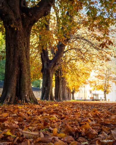 Autumn at Visso