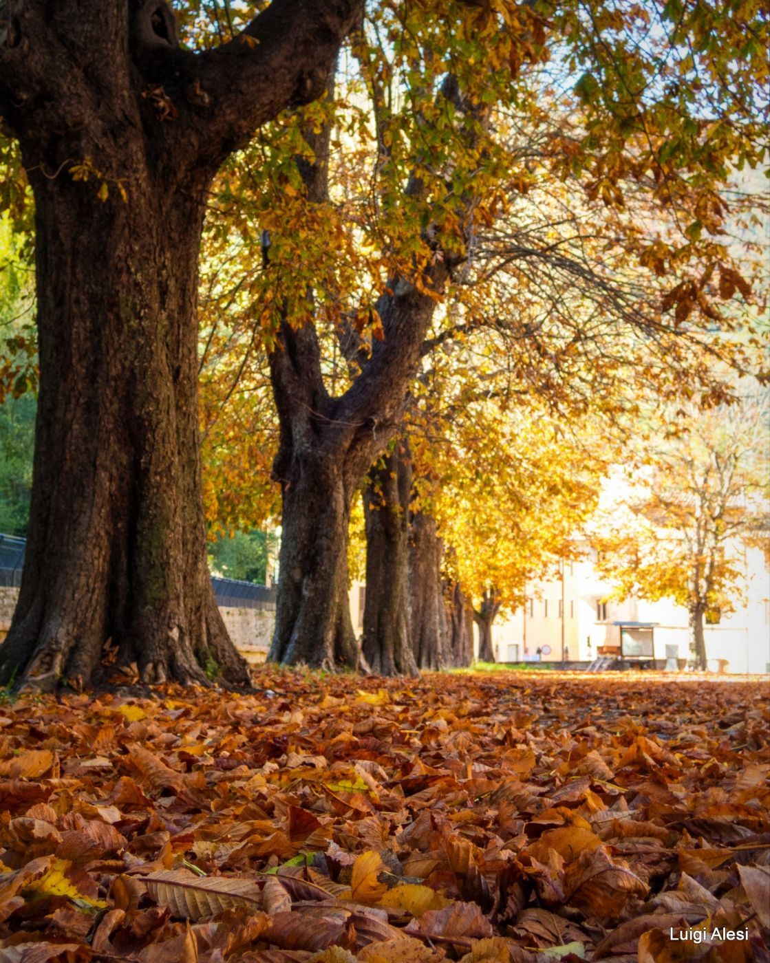 Autumn at Visso, Italy