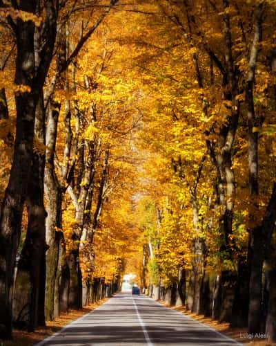 Autumn at Visso