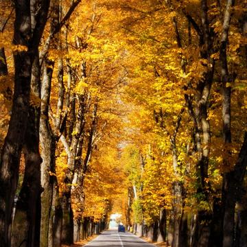 Autumn at Visso, Italy