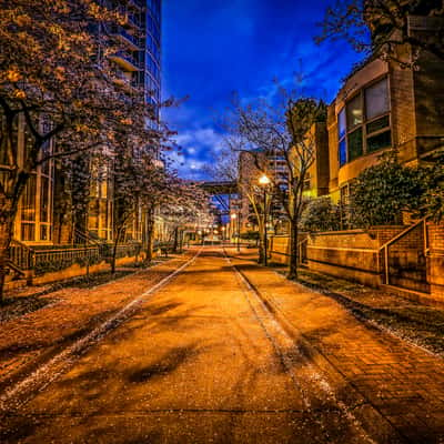 Autumn in the city, Canada