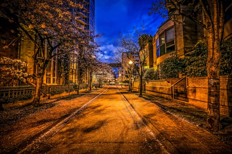 Autumn in the city