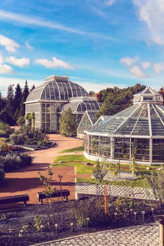 Botanical Garden, Helsinki