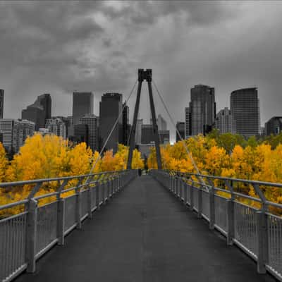 Shaganappi Park - Calgary, Canada