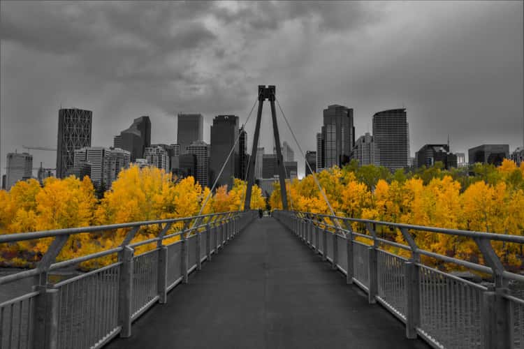 Shaganappi Park - Calgary