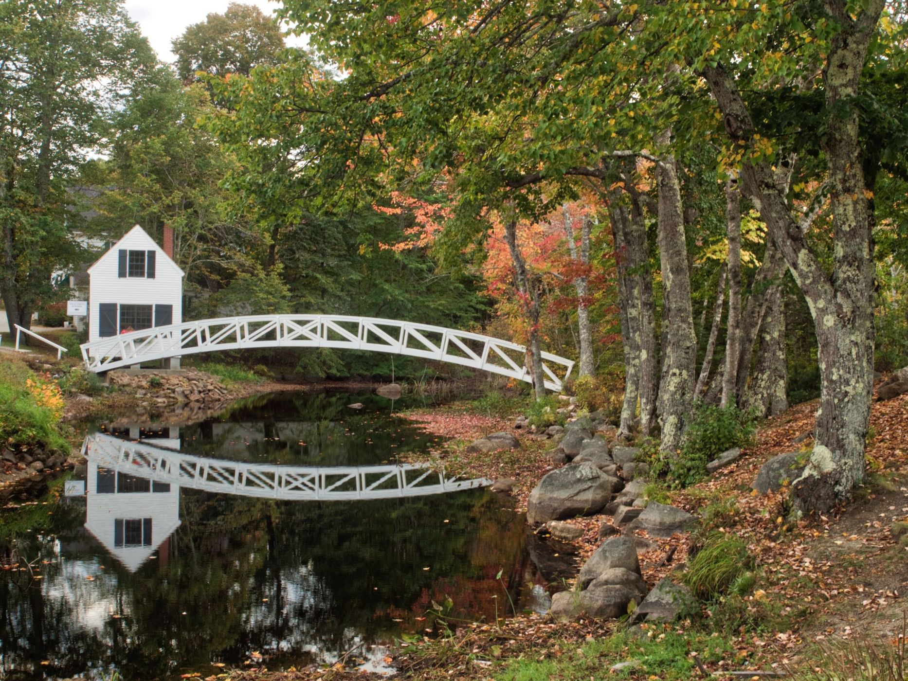 Bridge at Somesville Library, USA
