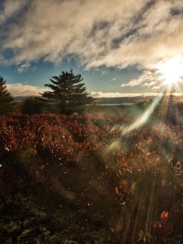 Cadillac Mountain