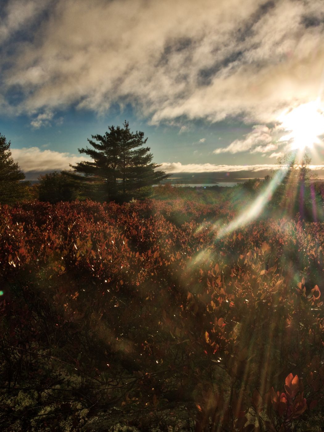 Cadillac Mountain, USA
