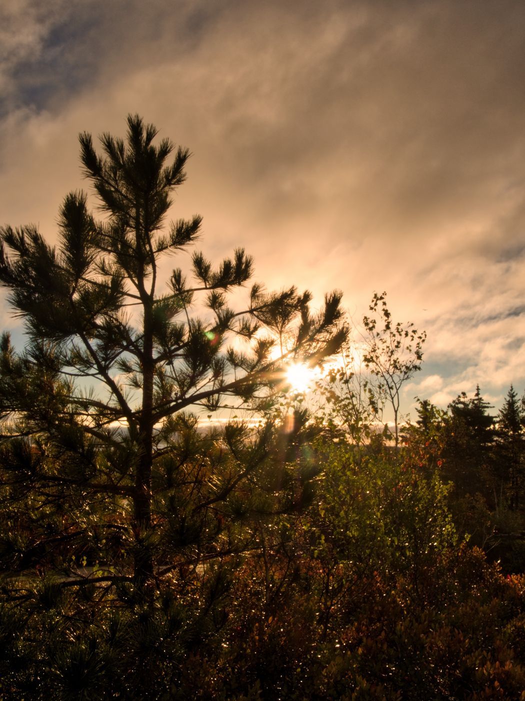 Cadillac Mountain, USA
