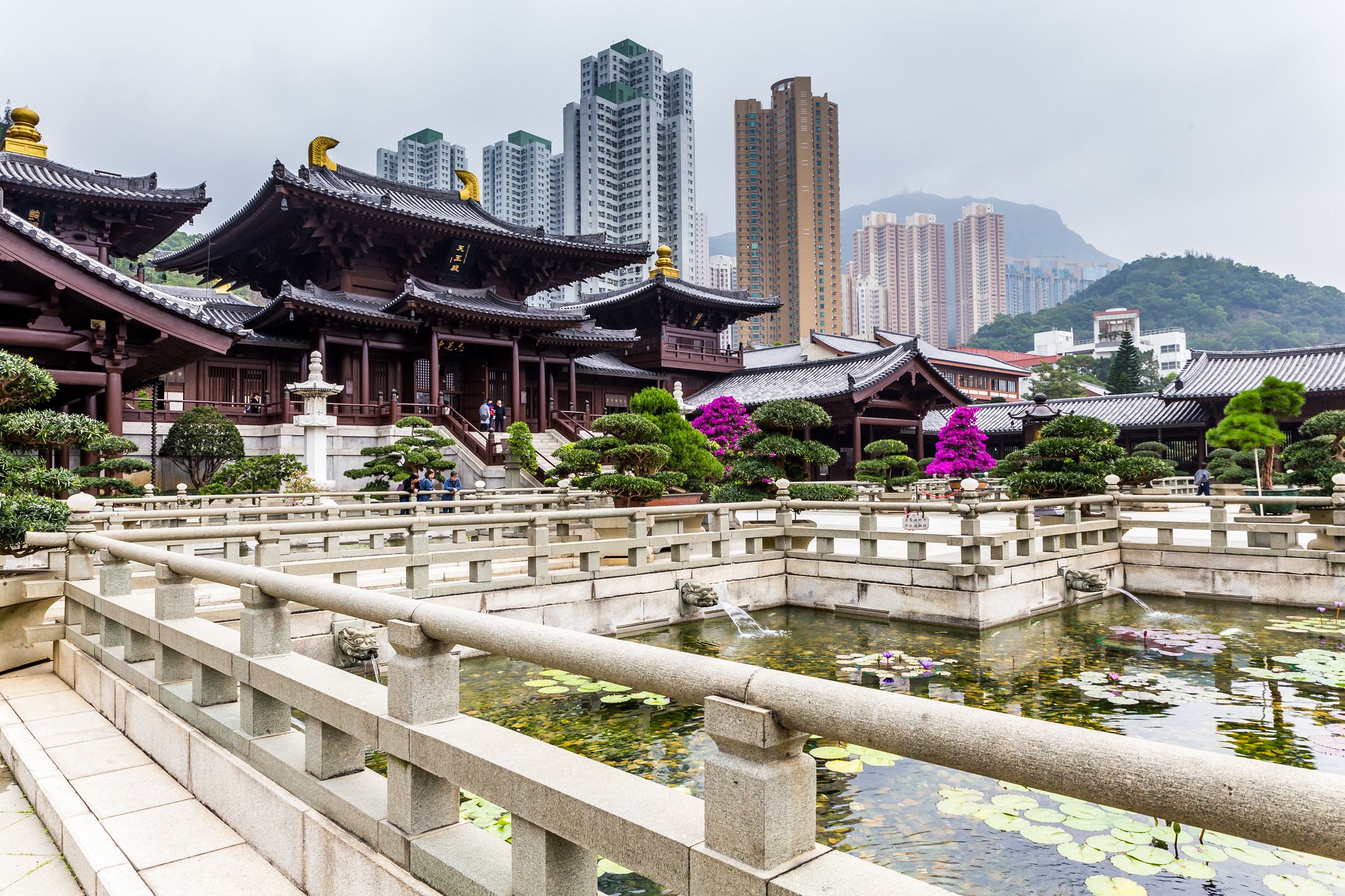 Chi Lin Nunnery Hong Kong, Hong Kong