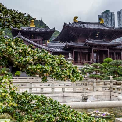 Chi Lin Nunnery Hong Kong, Hong Kong