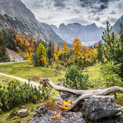 Color Paradise, Austria