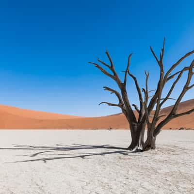 Deadvlei, Sossusvlei, Namibia