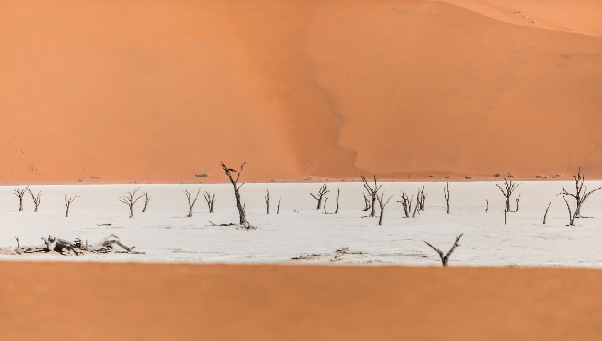 Deadvlei, Sossusvlei, Namibia