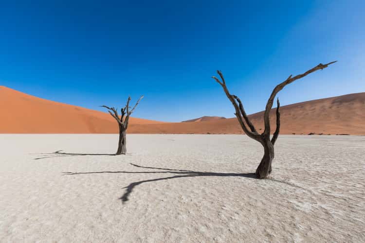 Deadvlei, Sossusvlei