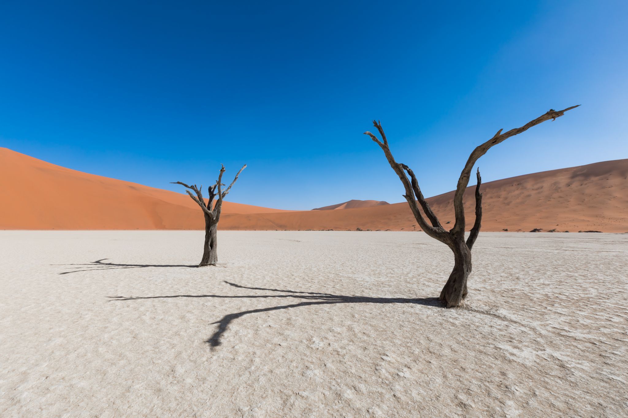 Deadvlei, Sossusvlei, Namibia