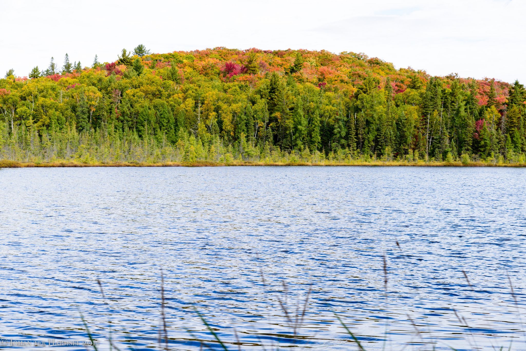 Dizzy Lake, Algonquin, Canada