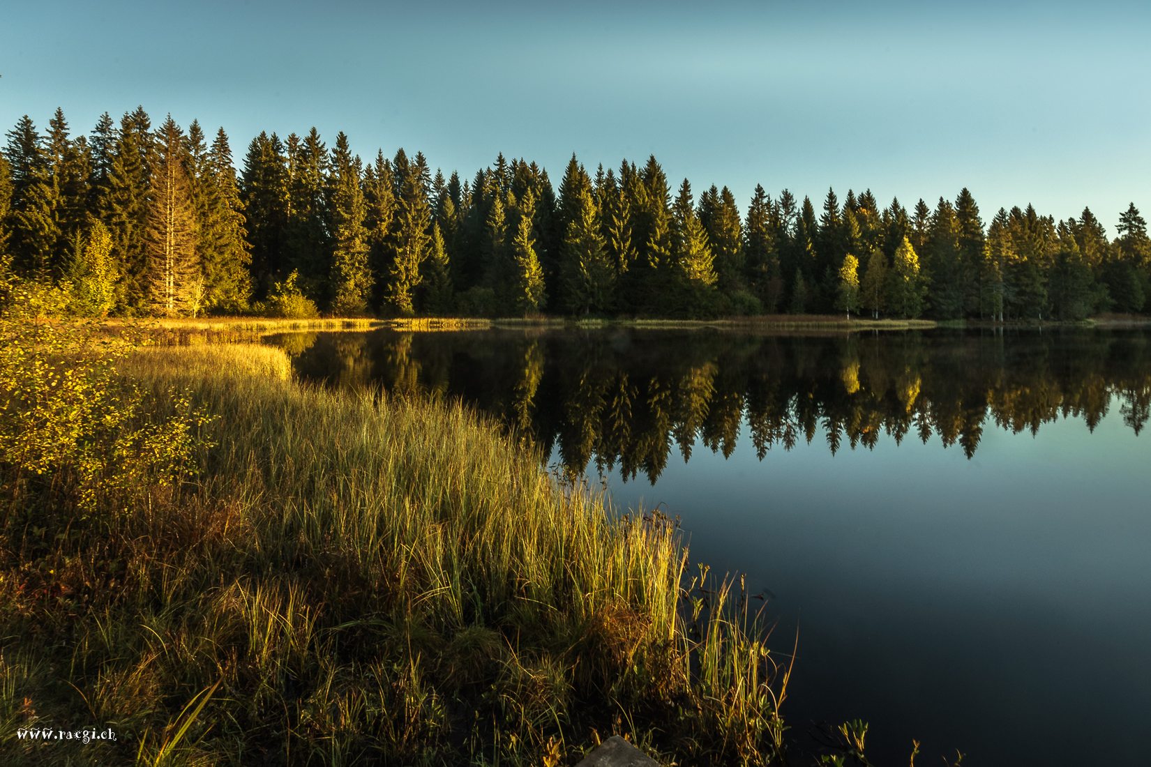 Etang de la Gruère, Switzerland