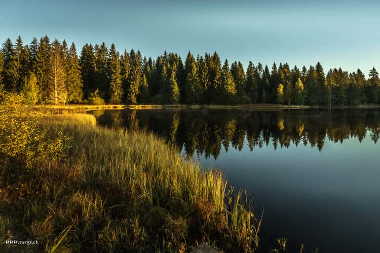 Etang de la Gruère