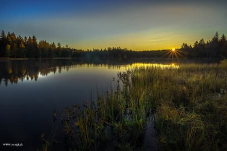 Etang de la Gruère